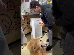 Αέρας για κατοικίδια ζώα: Ο καθαριστικός μηχανισμός της Berk κρατά το σπίτι σας φρέσκο!