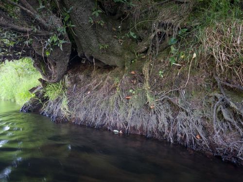中国最新ニュース 川侵食による浮き物:空気の質への影響と空気浄化器の必要性を理解する