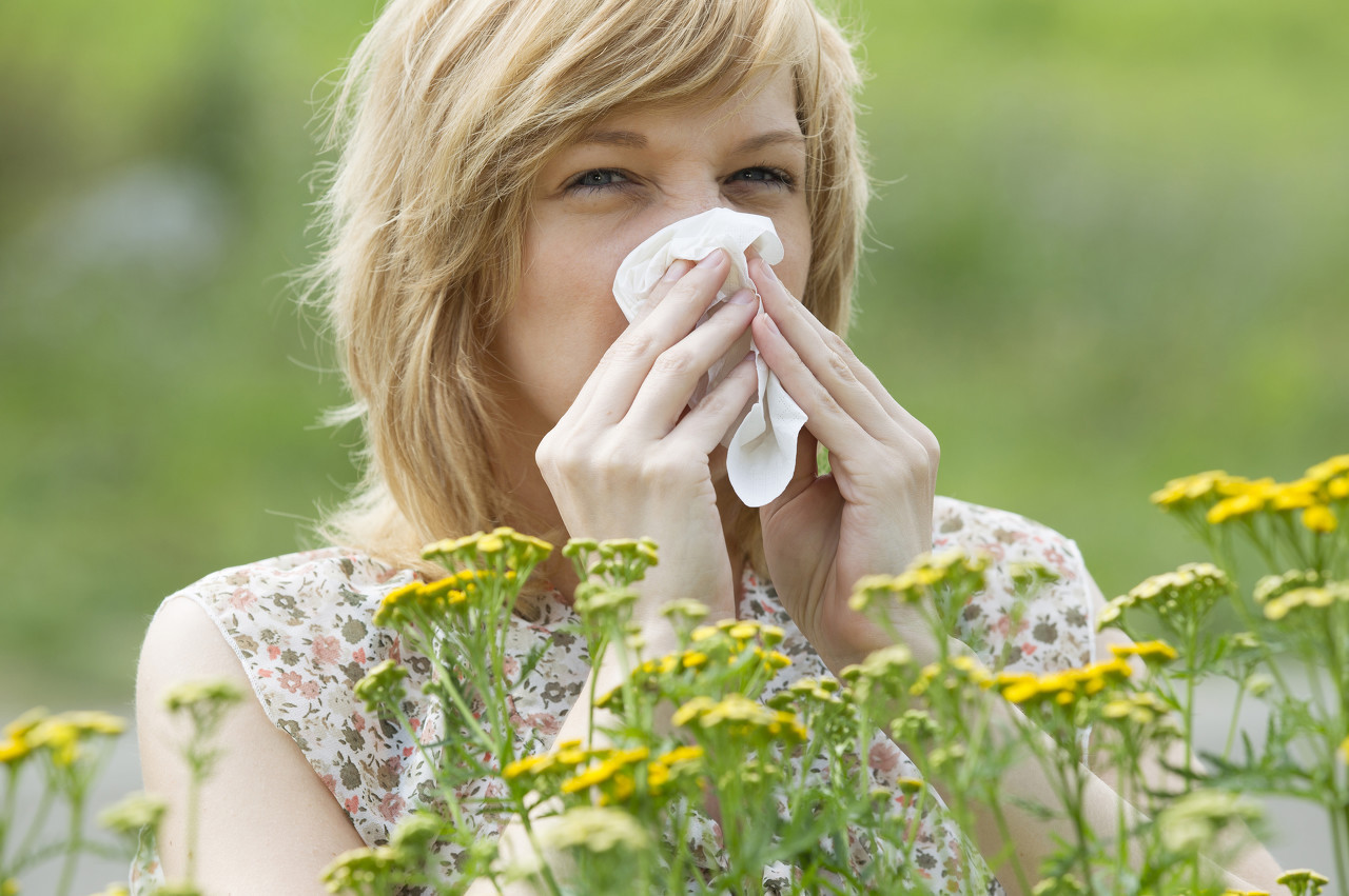 Latest company news about Pollen in the Atmosphere: How It Affects Air Quality and the Need for Air Purifiers