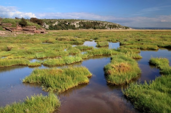 Latest company news about Methane Emissions from Wetlands: Their Effect on Air Quality and the Need for Air Purifiers