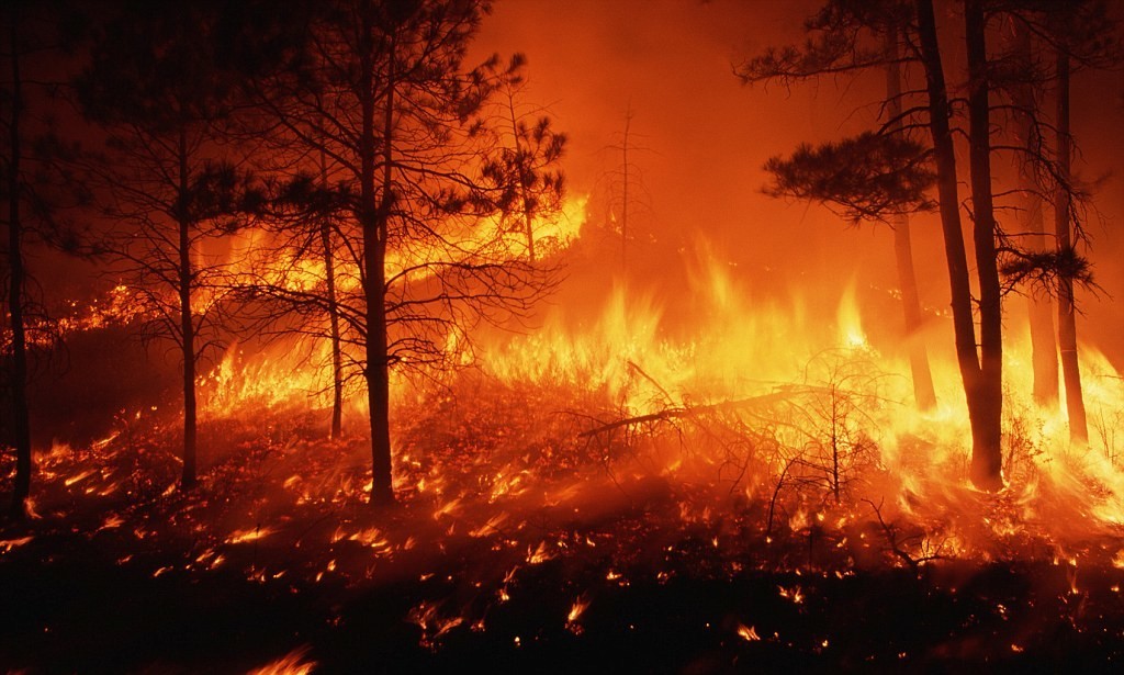 Latest company news about Wildfires on Grasslands: Their Impact on Air Quality and the Role of Air Purifiers