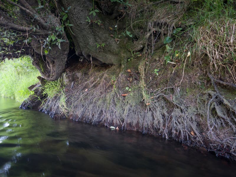 Latest company news about Suspended Particles from River Erosion: Understanding Their Impact on Air Quality and the Need for Air Purifiers
