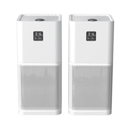 China UV Lamp Air Filters For House 110V-220V Ozone No Ozone Free factory