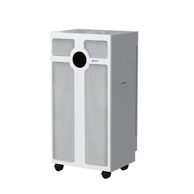 China Powerful Pet Odor Eliminator with 4600 Sq. Ft. Coverage Smart Wind Speed and 12-Month Filter Life factory