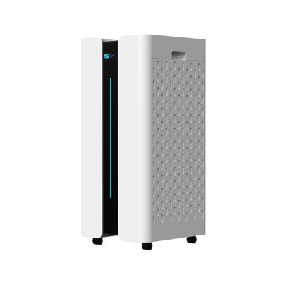 China Transform Your Home into a Healthy and Fresh Environment with Our Domestic Air Purifier factory