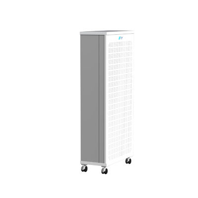 Timer Equipped HEPA Filter Household Air Purifier For 144m2 Coverage Area